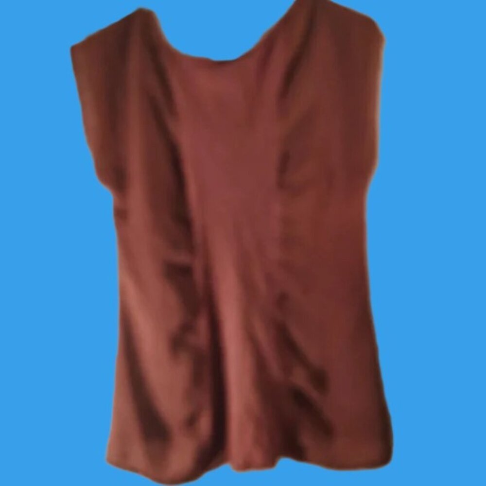 Chic Brown Western brown casual, country, office, diverse, soft, pleated  Top